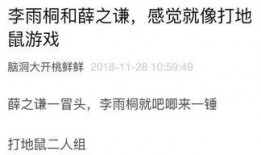 凌云吃瓜日记免费阅读全文,揭秘娱乐圈幕后风云