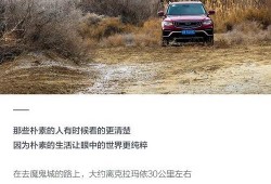 陆地最新真实爆料,陆地最新真实爆料，带你走进不为人知的幕后故事