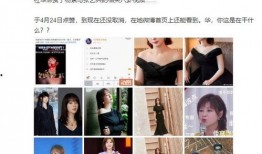 恋情爆料演唱会视频播放,独家视频揭秘甜蜜瞬间