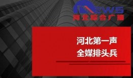 河北电台爆料新闻视频大全,新闻视频大全精彩回顾