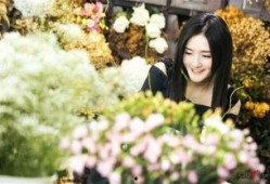 花房姑娘爆料视频播放,揭秘幕后故事与精彩瞬间