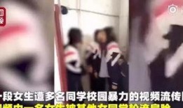 爆料废柴被打视频大全,揭秘网络暴力背后的真相
