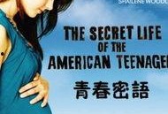密语 在线观看,揭秘神秘信息传递的艺术