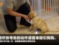 狗崽爆料视频大全最新版,最新版揭秘娱乐圈幕后真相
