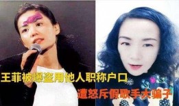 最新王菲爆料视频播放,独家幕后故事大公开