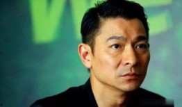 刘德华八卦新闻大爆料视频,那些鲜为人知的八卦幕后故事