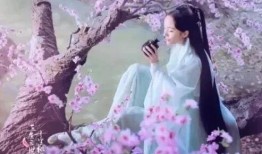 十里桃花在线观看,穿越时空的浪漫邂逅