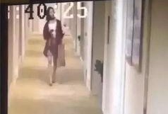 网友爆料餐厅事件视频在线观看,现场视频引发热议