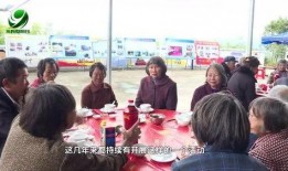 永春新闻爆料事件,揭秘当地热点事件背后的真相