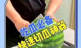 吃瓜拍照神器免费版,轻松记录生活点滴，畅享趣味分享时光