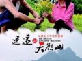 遥远的天熊山在线观看,揭秘遥远天熊山神秘之旅