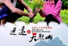 遥远的天熊山在线观看,揭秘遥远天熊山神秘之旅