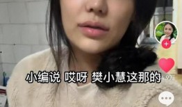 樊小慧姐妹爆料视频,揭秘背后惊人真相