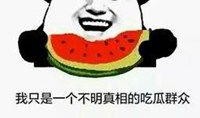 娱乐吃瓜酱微信头像图片,揭秘明星幕后故事，带你领略娱乐圈风云变幻