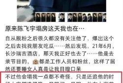 粉条爆料视频大全下载,揭秘幕后真相，带你走进网络舆论漩涡