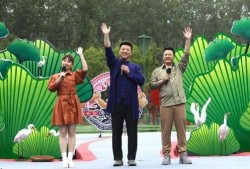 小力最新爆料新闻视频,最新爆料新闻视频深度解析