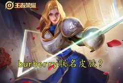 王者神偷夏洛特爆料视频,王者神偷背后的神秘故事