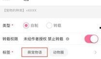 中视频爆料投稿入口,轻松开启内容创作新篇章