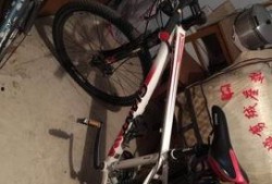 安阳自行车爆料事件最新,真相与反思