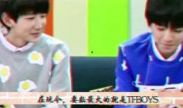 娱乐记者爆料图片搞笑版,搞笑版副标题大揭秘！