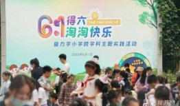 南京六一最新爆料,揭秘神秘事件背后的真相